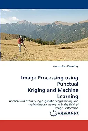image processing using punctual kriging and machine learning applications of fuzzy logic genetic programming