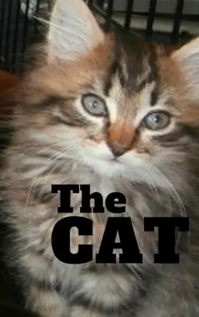 the cat the classic book of all time 1st edition pussycat journal 1973709236, 978-1973709237