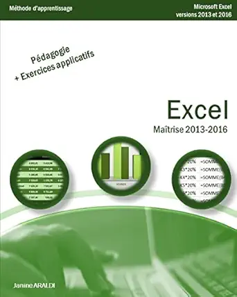 excel maatrise 2013 2016 1st edition janine araldi 1986641252, 978-1986641258