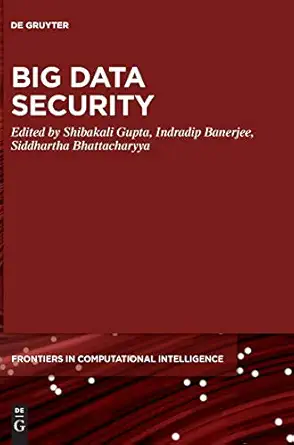 big data security 1st edition shibakali gupta ,indradip banerjee ,siddhartha bhattacharyya 3110605880,