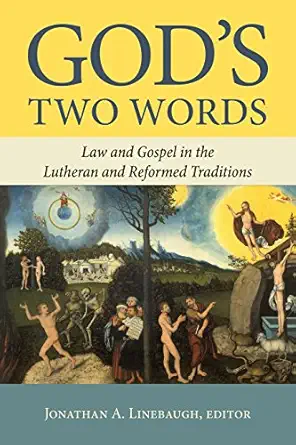 gods two words law and gospel in the lutheran and reformed traditions 1st edition jonathan a linebaugh