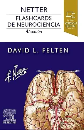 netter flashcards de neurociencia 1st edition david l felten md phd 8413825067, 978-8413825069
