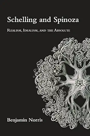 schelling and spinoza realism idealism and the absolute 1st edition benjamin norris 1438489528, 978-1438489520