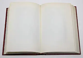 the village by the sea 1st edition anita desai 1681373513, 978-1681373515