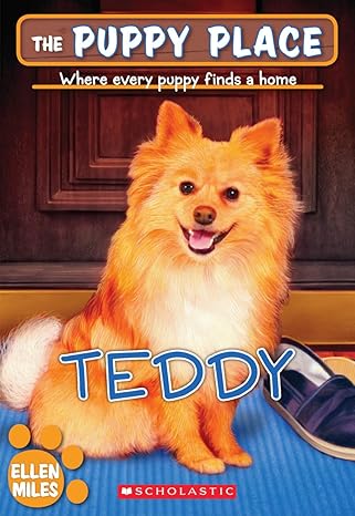 the teddy 1st edition ellen miles 0545462398, 978-0545462396
