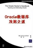 oracle database attack and defense of the road 1st edition david litchfield 7302164290, 978-7302164296