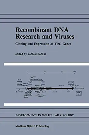 recombinant dna research and viruses cloning and expression of viral genes 1st edition yechiel becker