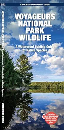 voyageurs national park wildlife 1st edition waterford press ,jill kavanagh waterford press 1620056992,