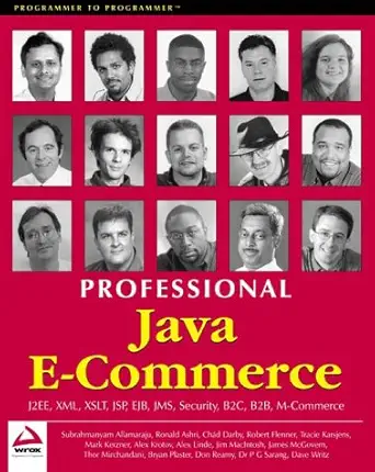 professional java e commerce 1st edition subrahmanyam allamaraju ,ronald ashri ,chad darby ,robert flenner