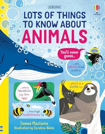 lots of things to know about animals 1st edition james maclaine ,carolina buzio 1836051816, 978-1836051817