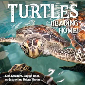 turtles heading home 1st edition liza ketchum ,jacqueline martin ,phyllis root 1623545862, 978-1623545864