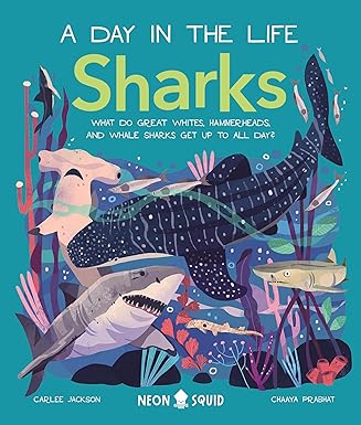 sharks what do great whites hammerheads and whale sharks get up to all day 1st edition carlee jackson ,neon