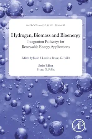 hydrogen biomass and bioenergy integration pathways for renewable energy applications 1st edition bruno g