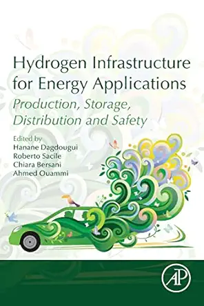 hydrogen infrastructure for energy applications production storage distribution and safety 1st edition hanane