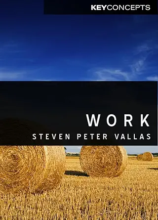 work a critique 1st edition steven vallas 0745646794, 978-0745646794