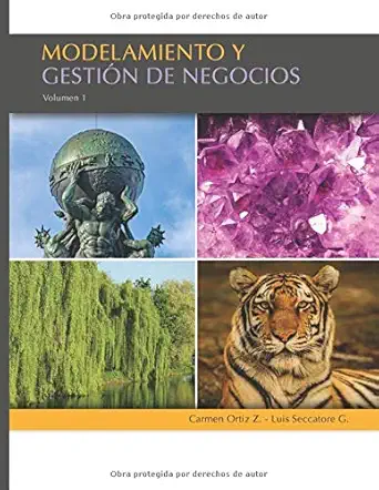 modelamiento y gestia n de negocios volumen i 1st edition carmen ortiz zaldivar ,luis seccatore ga mez