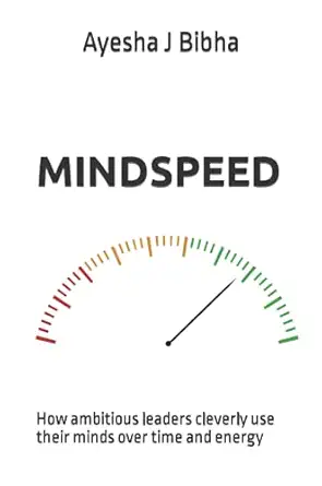 mindspeed how ambitious leaders cleverly use their minds over time and energy 1st edition ayesha j bibha
