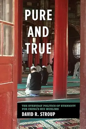 pure and true the everyday politics of ethnicity for chinas hui muslims 1st edition david r stroup ,stevan