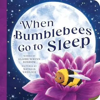 when bumblebees go to sleep 1st edition claire wrenn bobrow ,natalia vasilica 146421932x, 978-1464219320