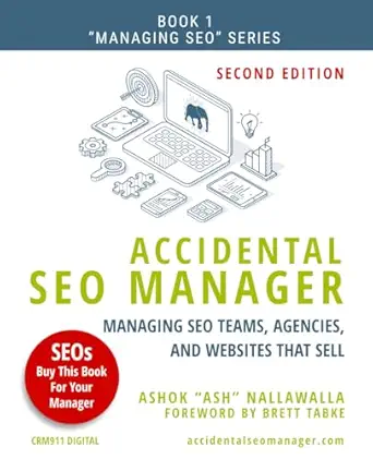 accidental seo manager managing seo teams agencies and websites that sell 1st edition mr ashok nallawalla