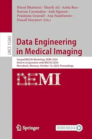 data engineering in medical imaging second miccai workshop demi 2024 held in conjunction with miccai 2024