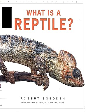 what is a reptile 1st edition robert snedden ,oxford scientific films ,adrian lascom 0871564939,