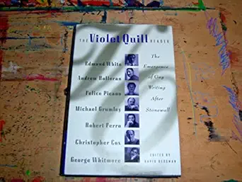 the violet quill reader the emergence of gay writing after stonewall 1st edition david bergman 031211091x,