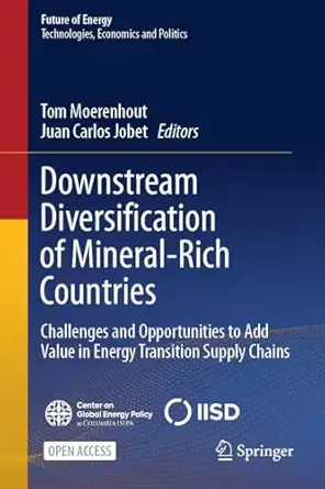 downstream diversification of mineral rich countries challenges and opportunities to add value in energy