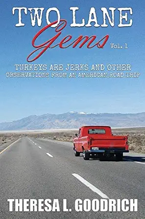 two lane gems vol 1 turkeys are jerks and other observations from an american road trip 1st edition theresa l