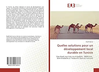 quelles solutions pour un daveloppement local durable en tunisie une atude aux trois municipalitas madenine