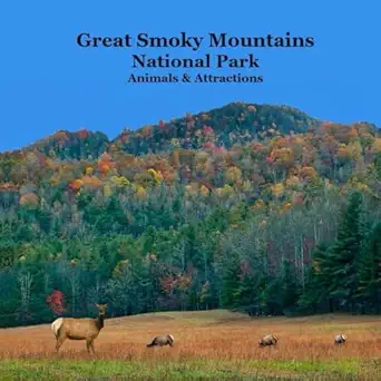 great smoky mountains national park kids book great way for kids to see the animals and attractions in smoky