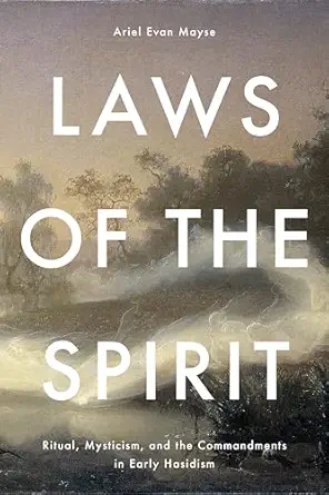 laws of the spirit 1st edition ariel evan mayse 1503638278, 978-1503638273
