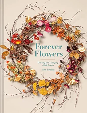 forever flowers growing and arranging dried flowers 1st edition ann lindsay 1849947163, 978-1849947169