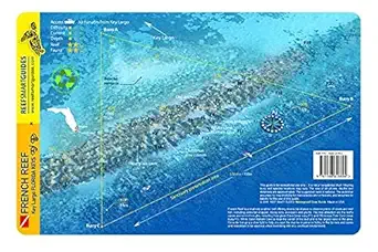french reef key largo florida keys waterproof dive card 1st edition reef smart 1988818893, 978-1988818894