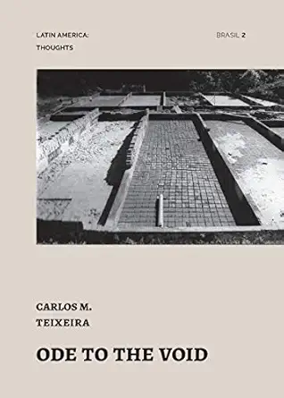 ode to the void essays by carlos teixeira 1st edition carlos teixeira ,fernando luiz lara ,abilio guerra