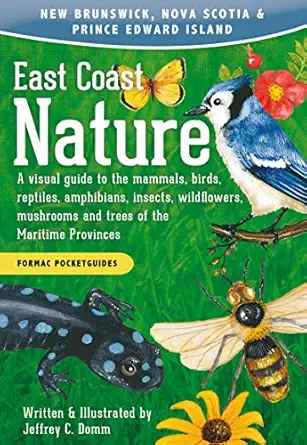 east coast nature a visual guide to the mammals birds reptiles amphibians insects wildflowers mushrooms and