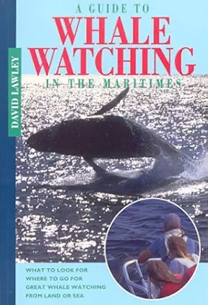 a guide to whale watching in the maritimes 1st edition david lawley 1551092077, 978-1551092072