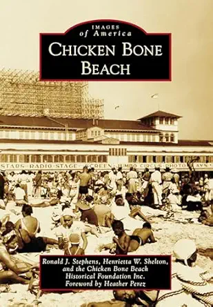 chicken bone beach 1st edition ronald j stephens ,henrietta shelton 1467109576, 978-1467109574