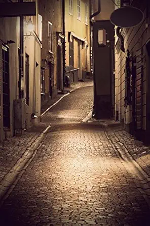 narrow road in stockholm sweden at night journal 150 page lined notebook/diary 1st edition cool image