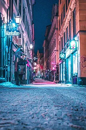 reisetagebuch schweden skandinavien urlaub farbe licht schnee stockholm reisen 1st edition schweden urlaub