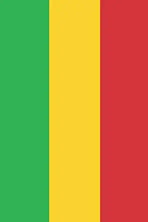 mali flag notebook malian flag book mali travel journal medium college ruled journey diary 110 page lined 6x9