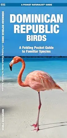 dominican republic birds 1st edition james kavanagh waterford press ,waterford press ,raymond leung