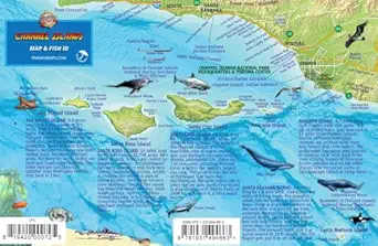 channel islands national park map and kelp forest creatures guide franko maps laminated fish card 1st edition