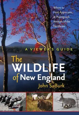 the wildlife of new england a viewers guide 1st edition john s burk 1584658347, 978-1584658344