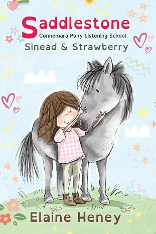 saddlestone connemara pony listening school sinead and strawberry dyslexia friendly 1st edition elaine heney