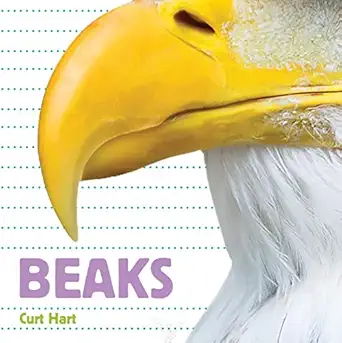 beaks 1st edition curt hart 1486721184, 978-1486721184