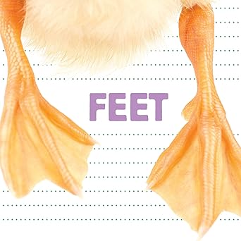 feet 1st edition katrine crow 1486715133, 978-1486715138