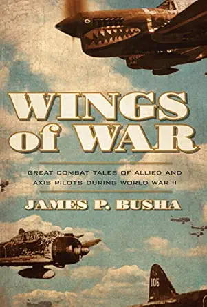 wings of war great combat tales of allied and axis pilots during world war ii 1st edition james p busha