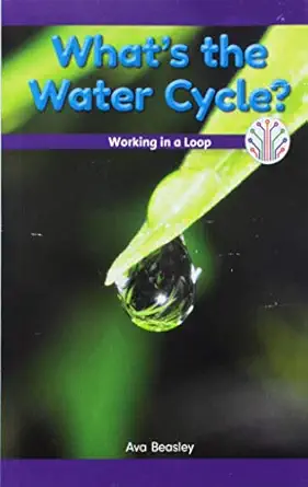 whats the water cycle working in a loop working in a loop 1st edition ava beasley 153835313x, 978-1538353134