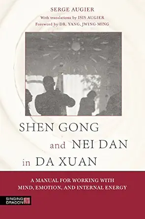 shen gong and nei dan in da xuan 1st edition serge augier 1848192606, 978-1848192607